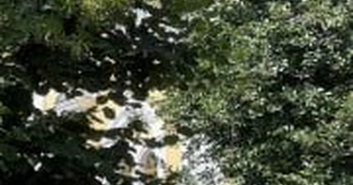 Афиша «Усадебное варенье: рецепт с историей»