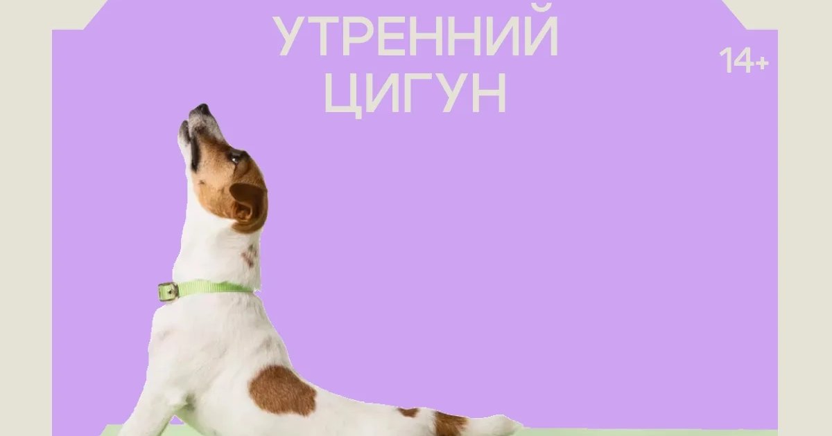 Афиша «Утренний цигун»