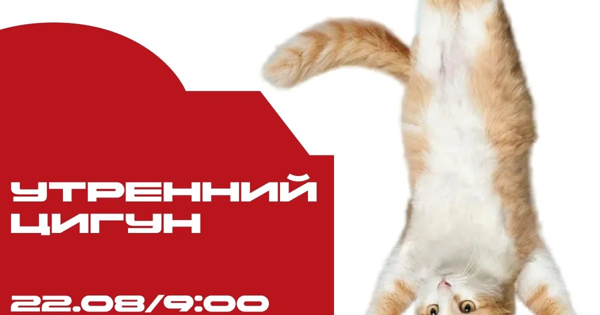 Афиша «Утренний цигун»