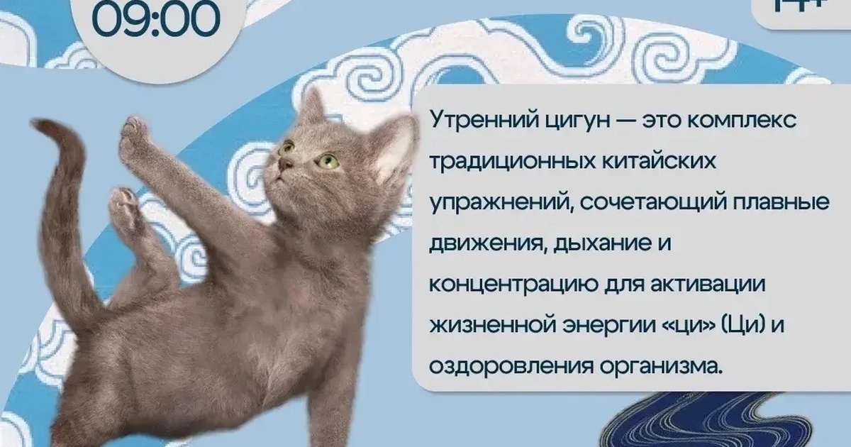 Утренний цигун