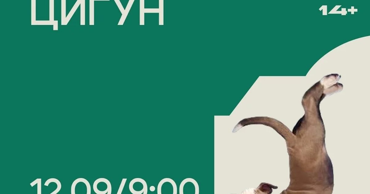 Афиша «Утренний цигун»