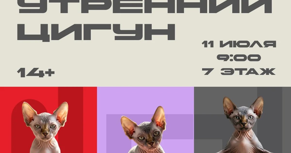 Афиша «Утренний цигун»