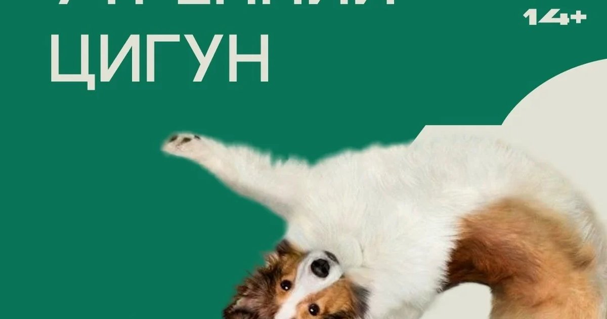 Афиша «Утренний цигун»