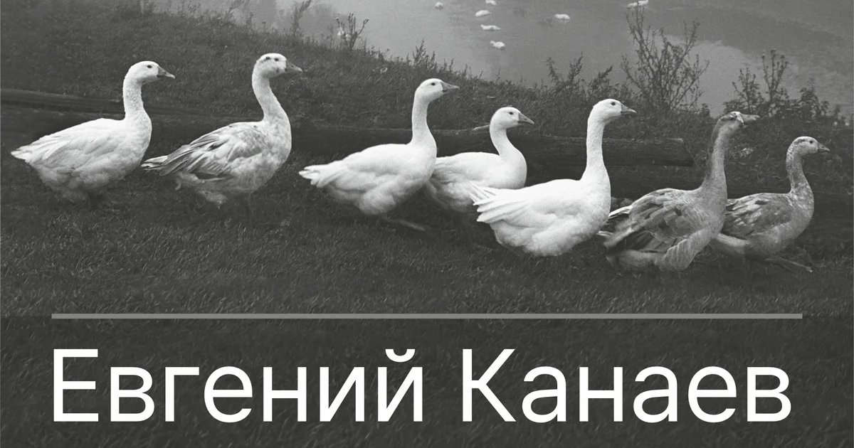 Афиша «В рамках пространства. Продолжение»
