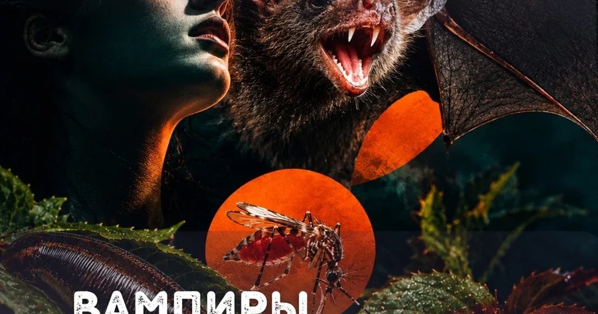 Афиша «Вампиры среди нас»