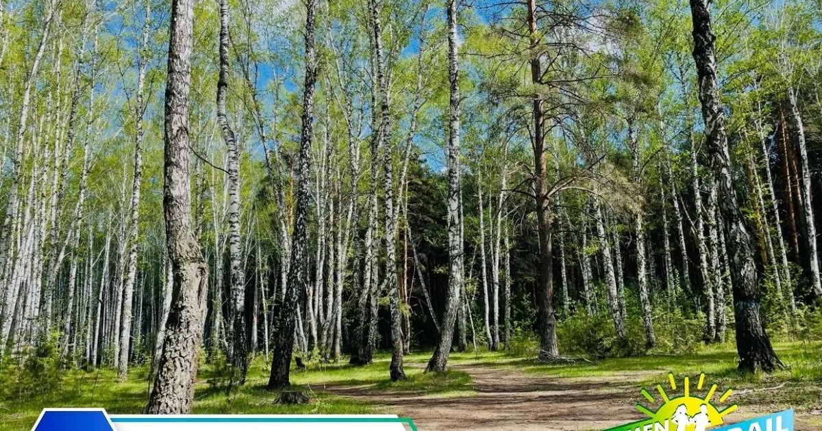 Вечерняя пробежка Tyumen Trail