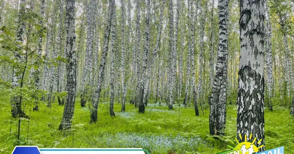 Вечерняя пробежка Tyumen Trail