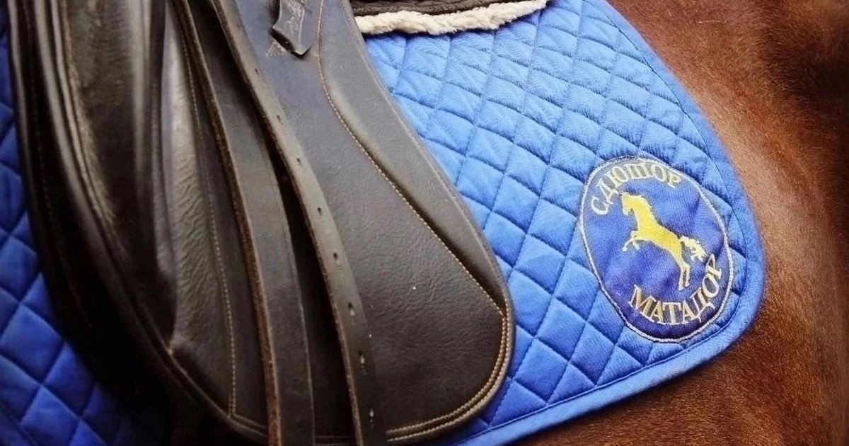 Афиша «Верховая езда для здоровья»