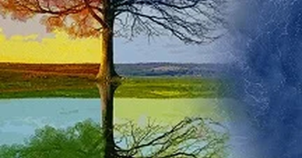 Афиша «Времена года»