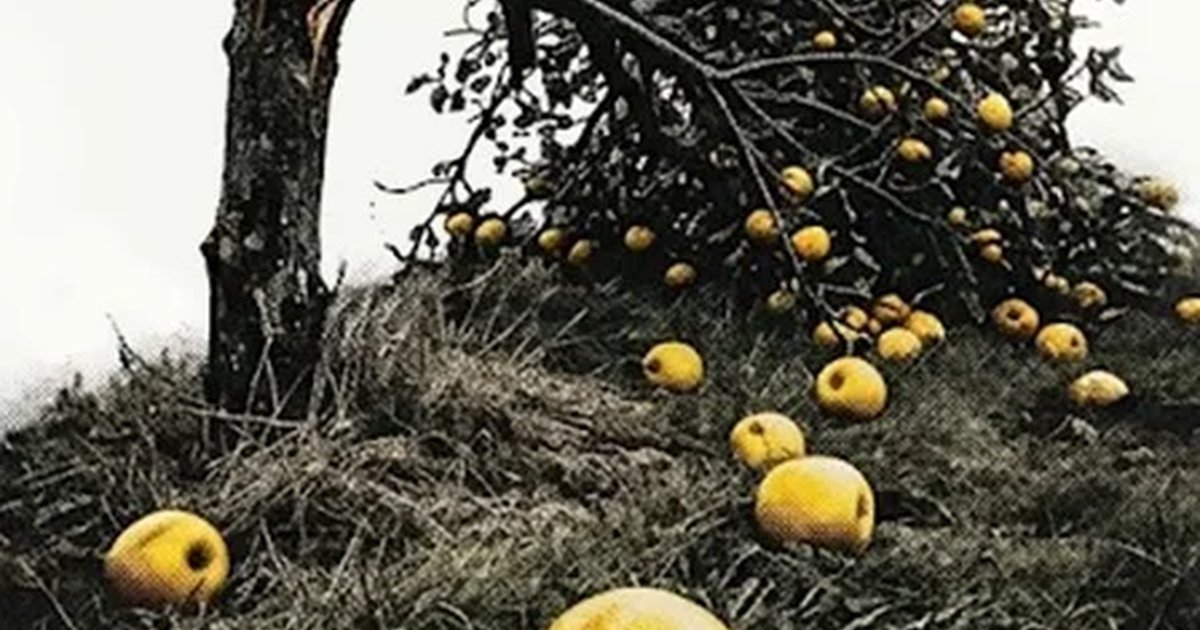 Афиша «Все мои сыновья»