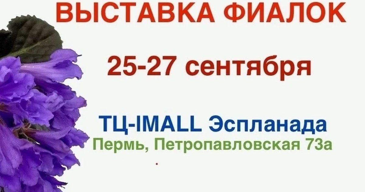 Афиша «Выставка фиалок»