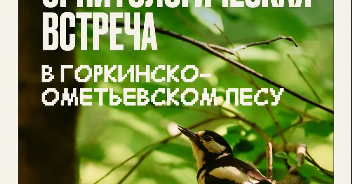 Афиша «Жизнь после гнезда: орнитологическая лекция в Казани»