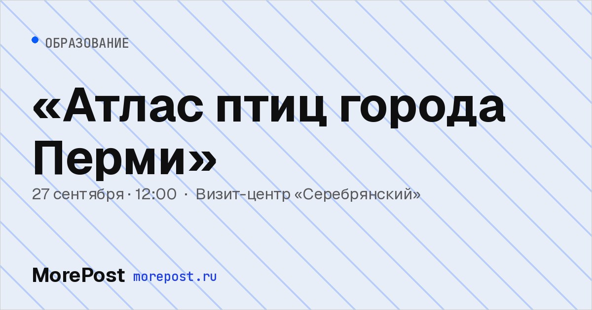 Афиша ««Атлас птиц города Перми»»