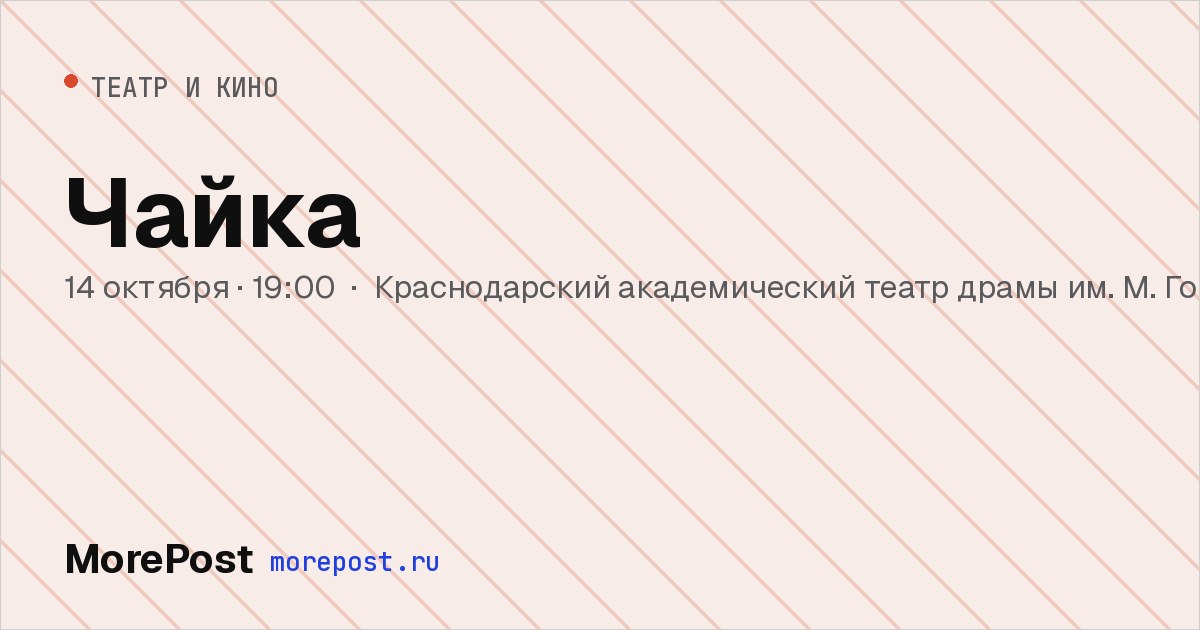 Афиша «Чайка»