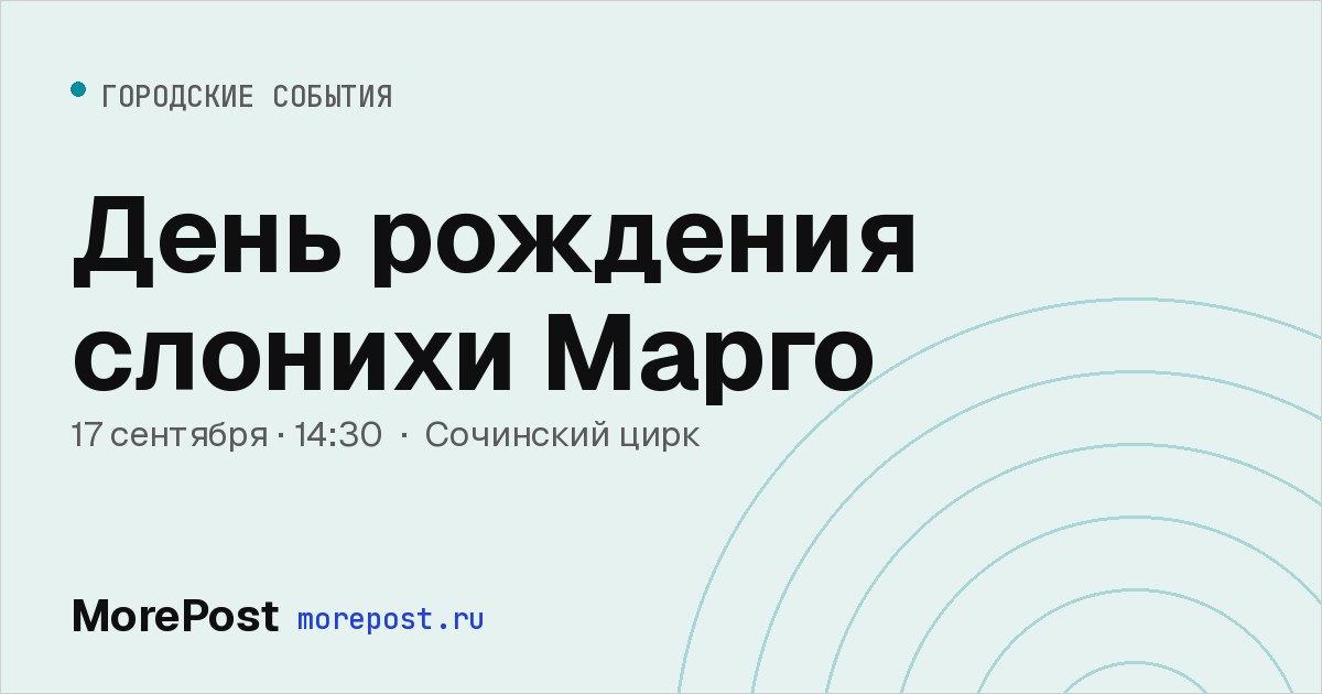 Афиша «День рождения слонихи Марго»