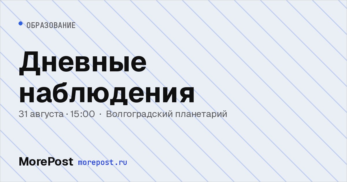 Афиша «Дневные наблюдения»