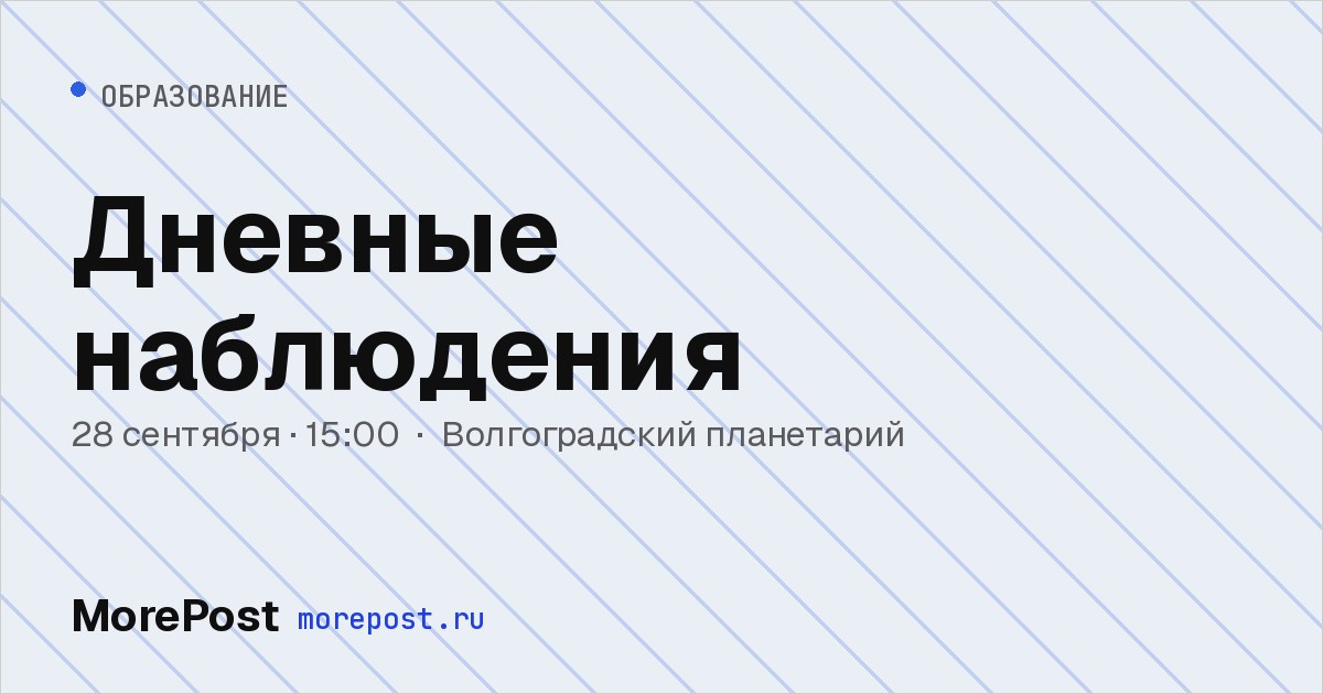 Афиша «Дневные наблюдения»