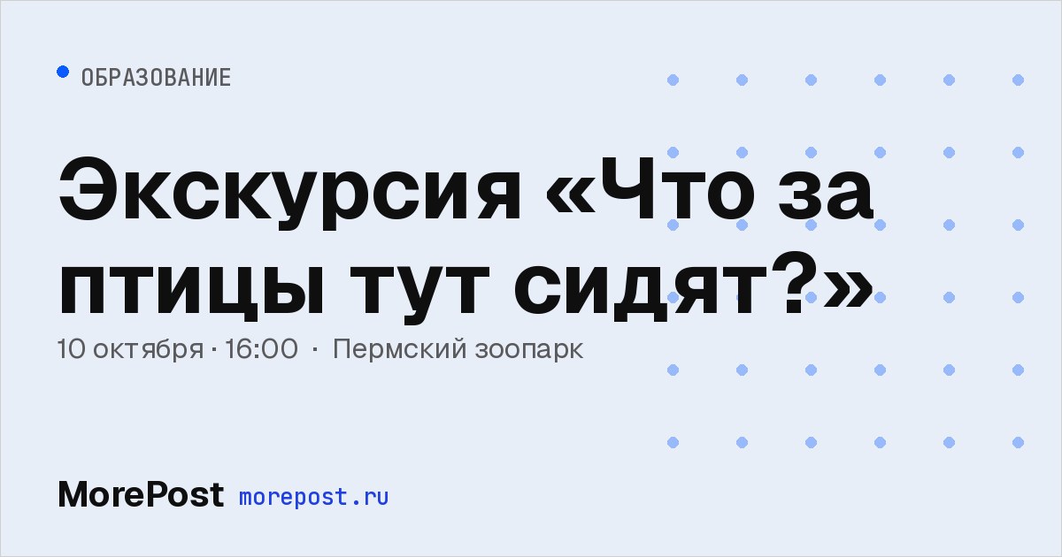 Афиша «Экскурсия «Что за птицы тут сидят?»»