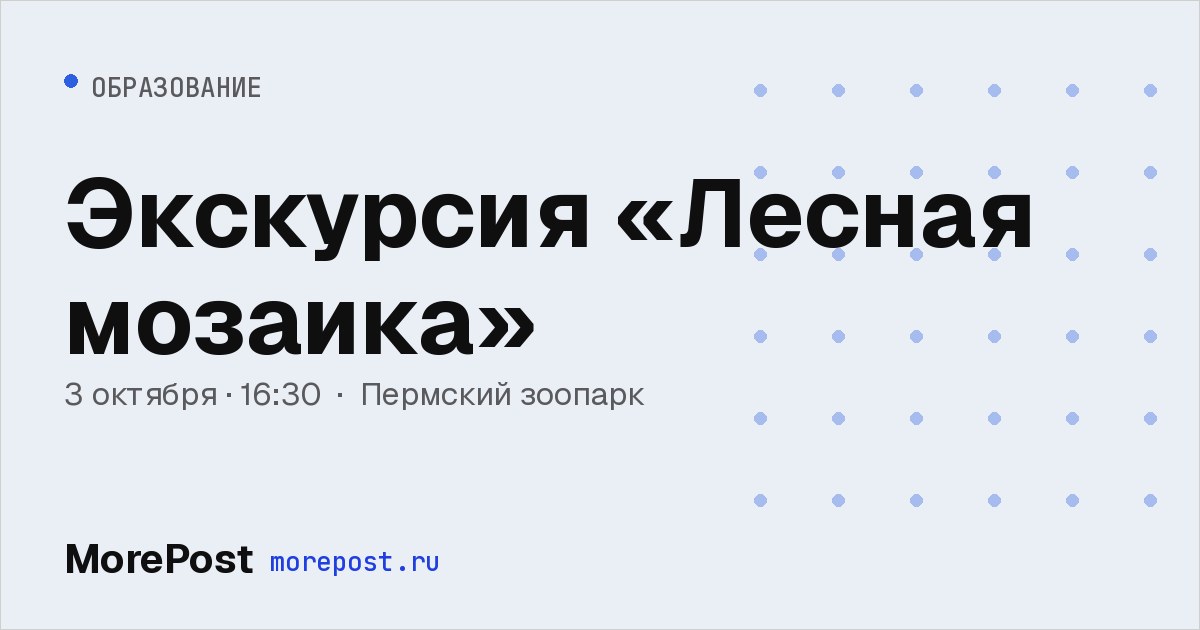Афиша «Экскурсия «Лесная мозаика»»