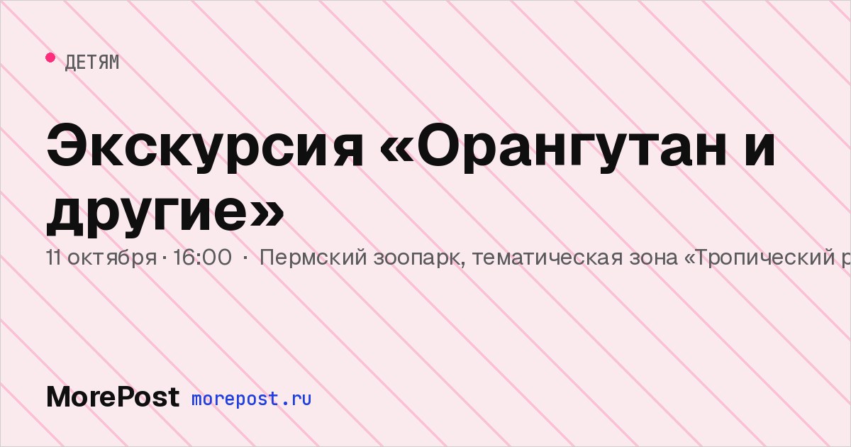 Афиша «Экскурсия «Орангутан и другие»»