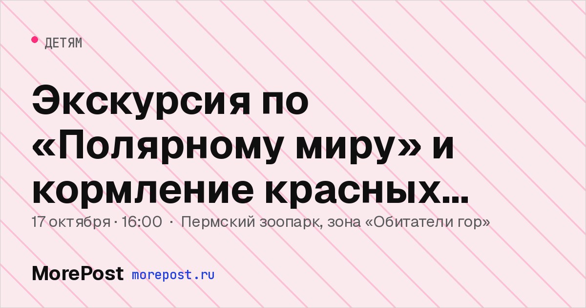 Афиша «Экскурсия по «Полярному миру» и кормление красных волков»