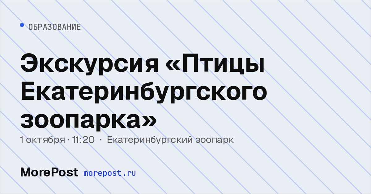 Афиша «Экскурсия «Птицы Екатеринбургского зоопарка»»