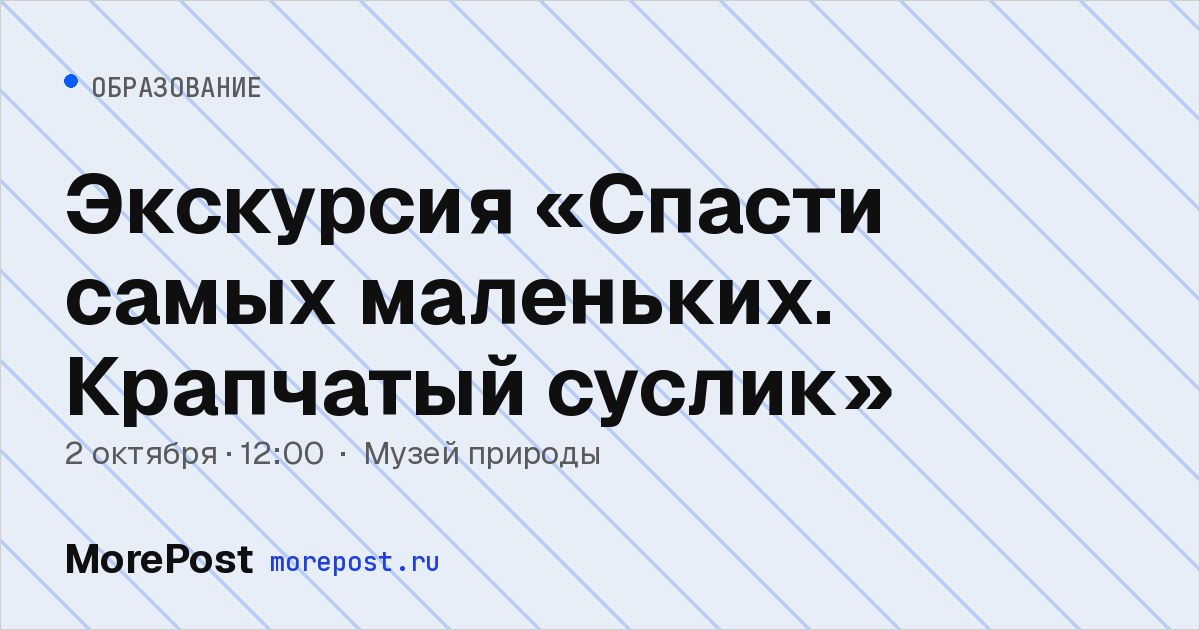 Афиша «Экскурсия «Спасти самых маленьких. Крапчатый суслик»»