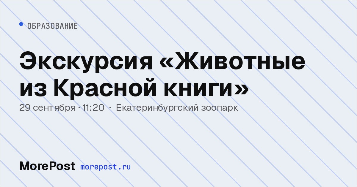 Афиша «Экскурсия «Животные из Красной книги»»