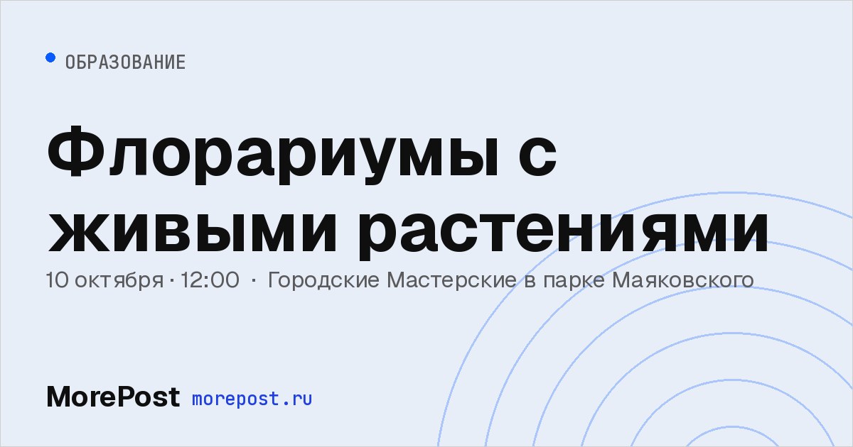 Афиша «Флорариумы с живыми растениями»