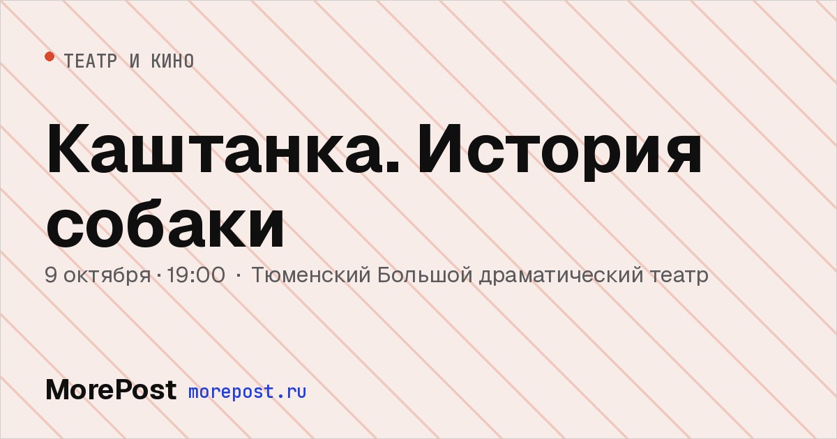 Афиша «Каштанка. История собаки»