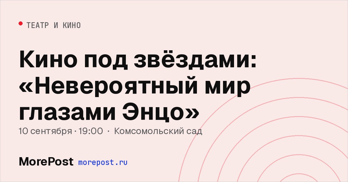 Афиша «Кино под звёздами: «Невероятный мир глазами Энцо»»