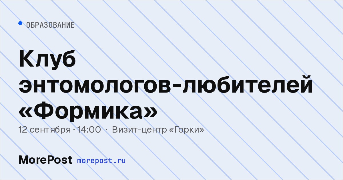 Афиша «Клуб энтомологов-любителей «Формика»»