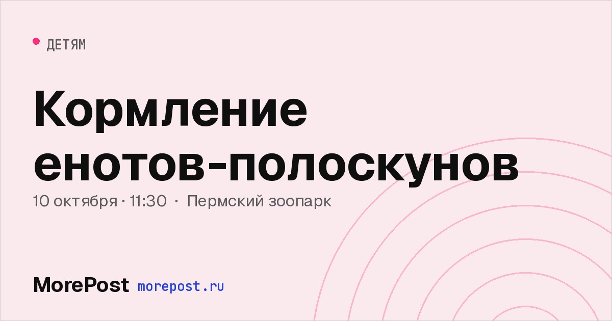 Афиша «Кормление енотов-полоскунов»