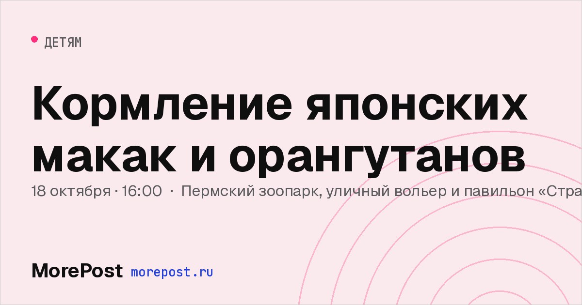 Афиша «Кормление японских макак и орангутанов»