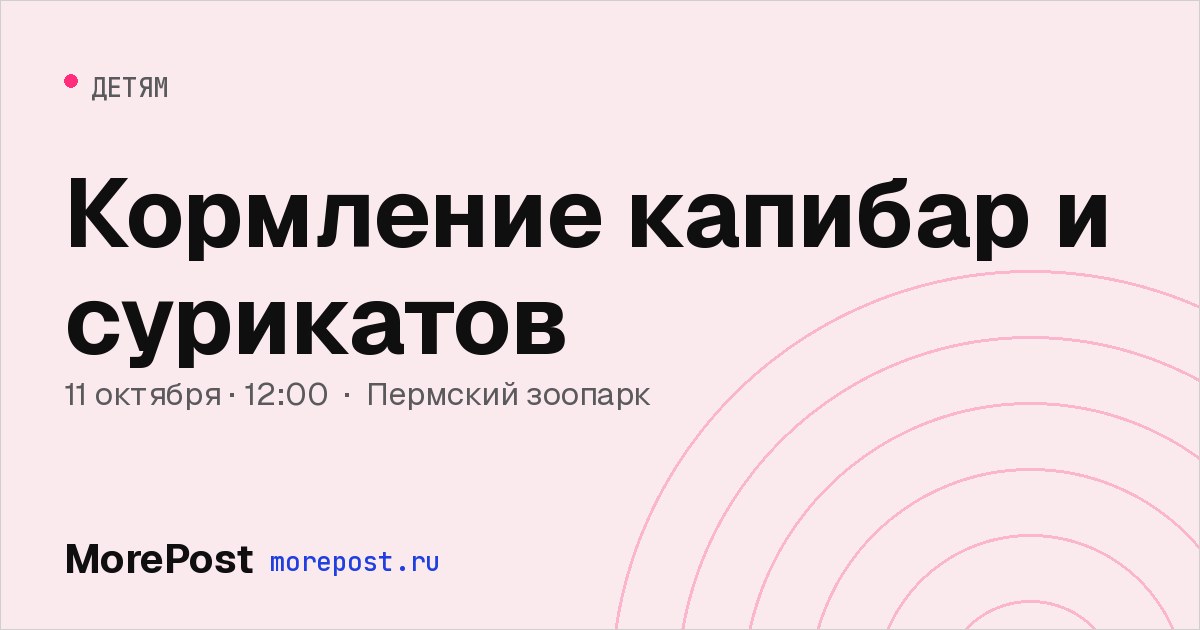Афиша «Кормление капибар и сурикатов»