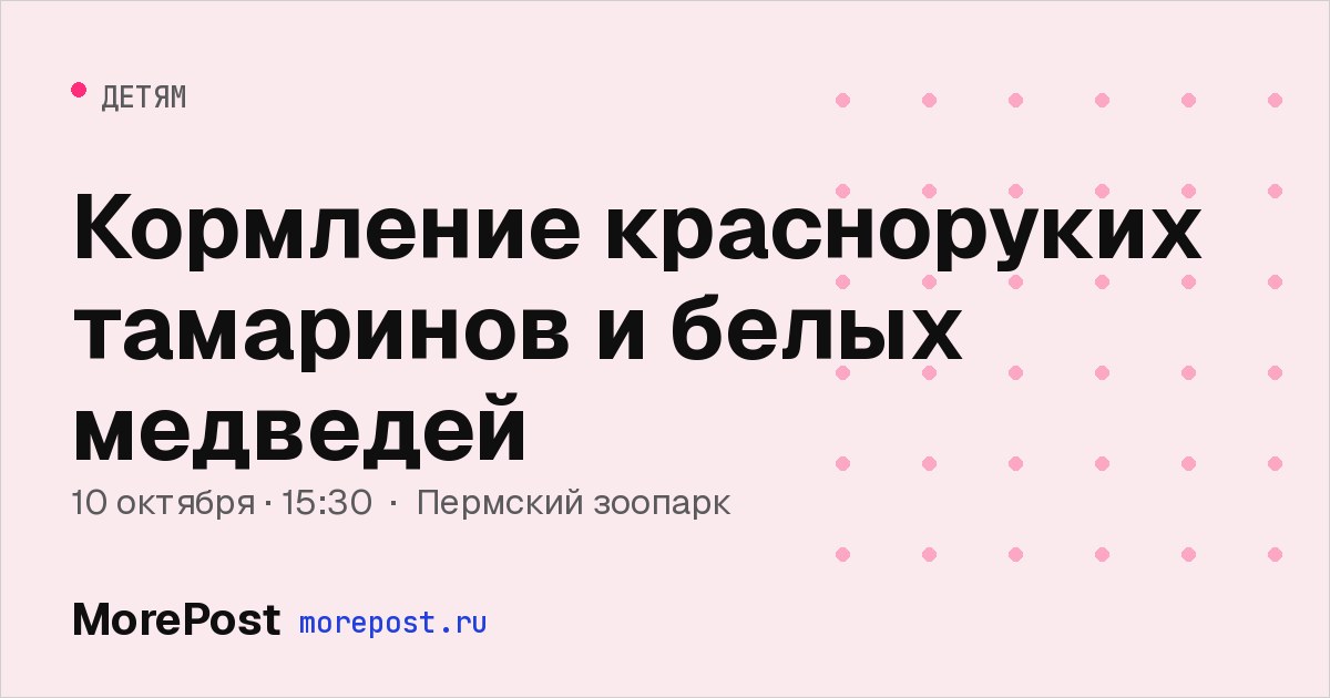 Афиша «Кормление красноруких тамаринов и белых медведей»