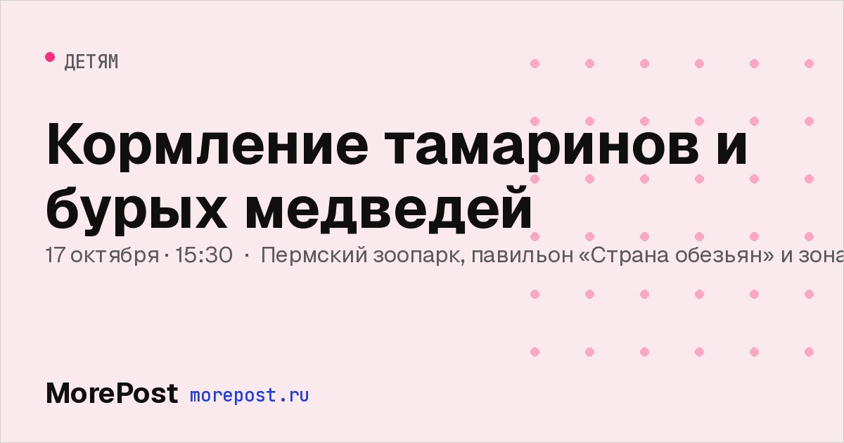 Афиша «Кормление тамаринов и бурых медведей»