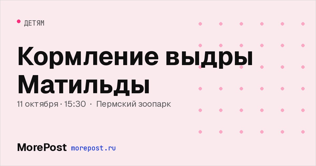 Афиша «Кормление выдры Матильды»