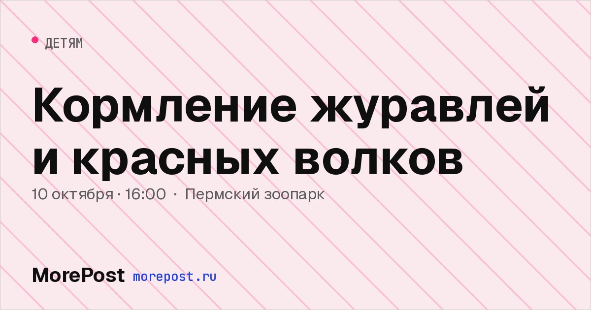 Афиша «Кормление журавлей и красных волков»