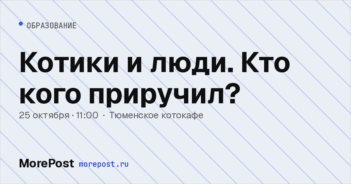 Афиша «Котики и люди. Кто кого приручил?»