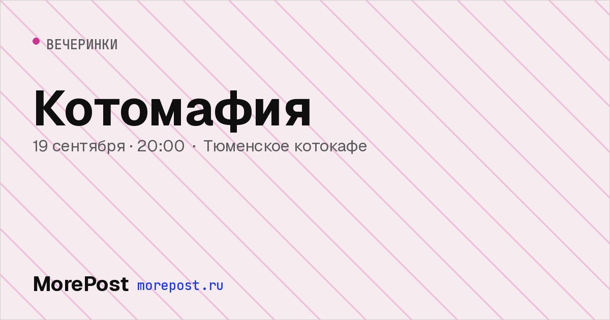 Афиша «Котомафия»