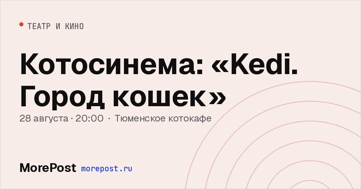 Афиша «Котосинема: «Kedi. Город кошек»»