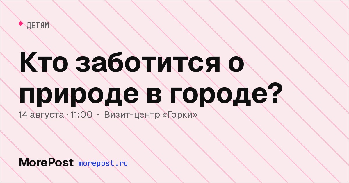 Афиша «Кто заботится о природе в городе?»