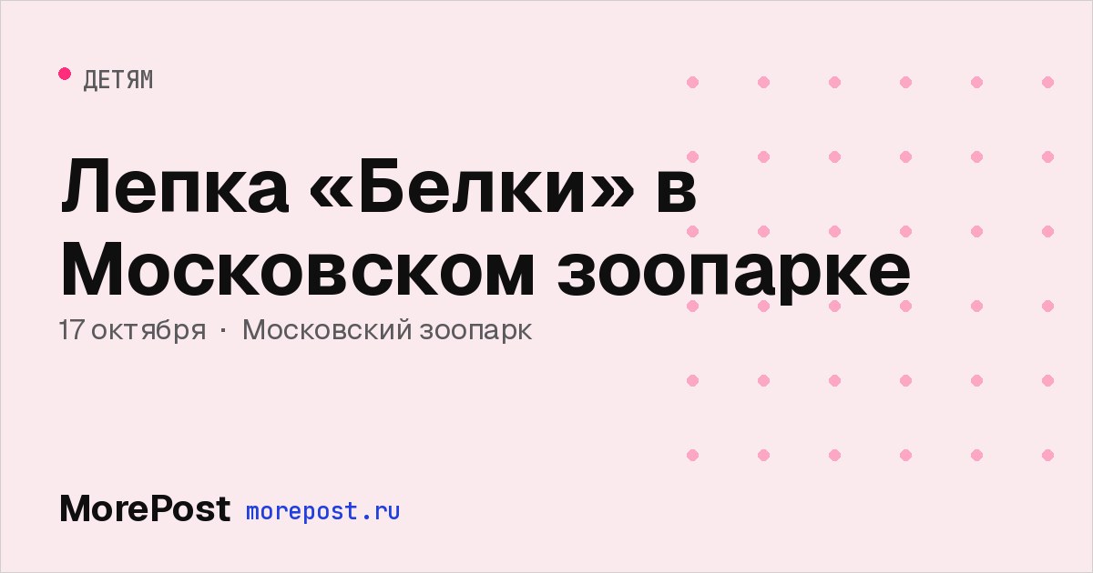 Афиша «Лепка «Белки» в Московском зоопарке»