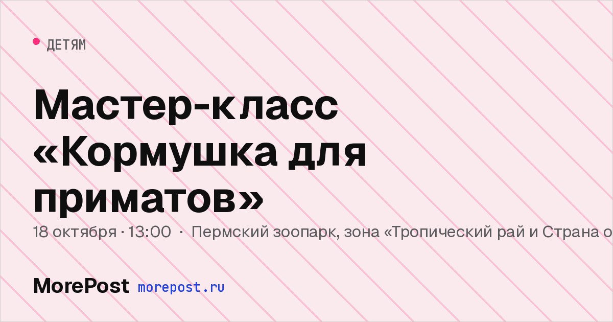Афиша «Мастер-класс «Кормушка для приматов»»