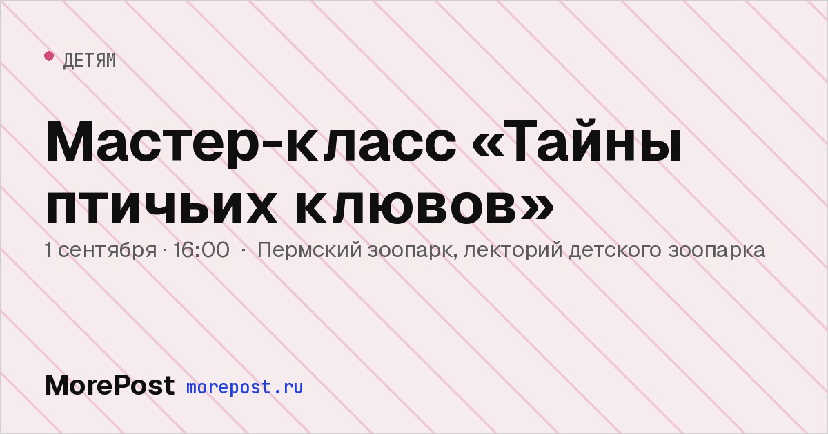 Афиша «Мастер-класс «Тайны птичьих клювов»»