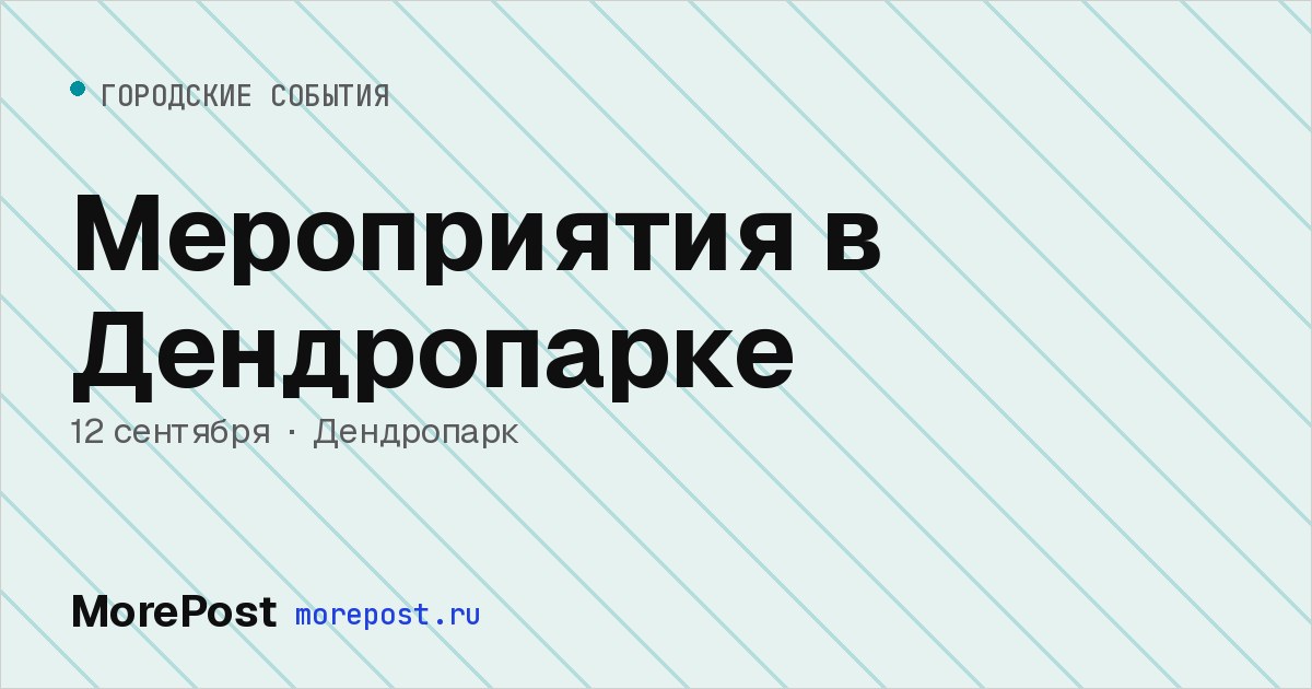 Афиша «Мероприятия в Дендропарке»