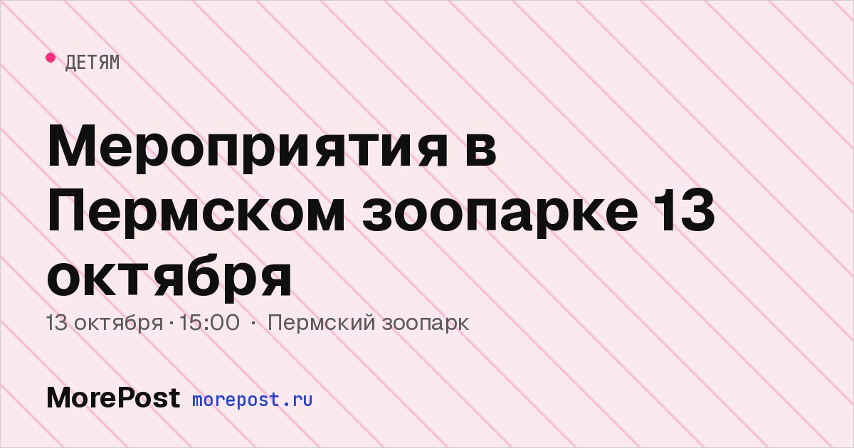 Афиша «Мероприятия в Пермском зоопарке 13 октября»