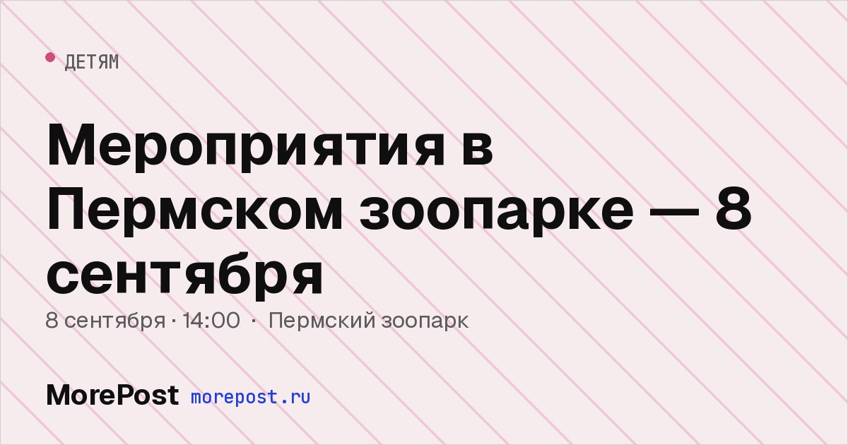 Афиша «Мероприятия в Пермском зоопарке — 8 сентября»