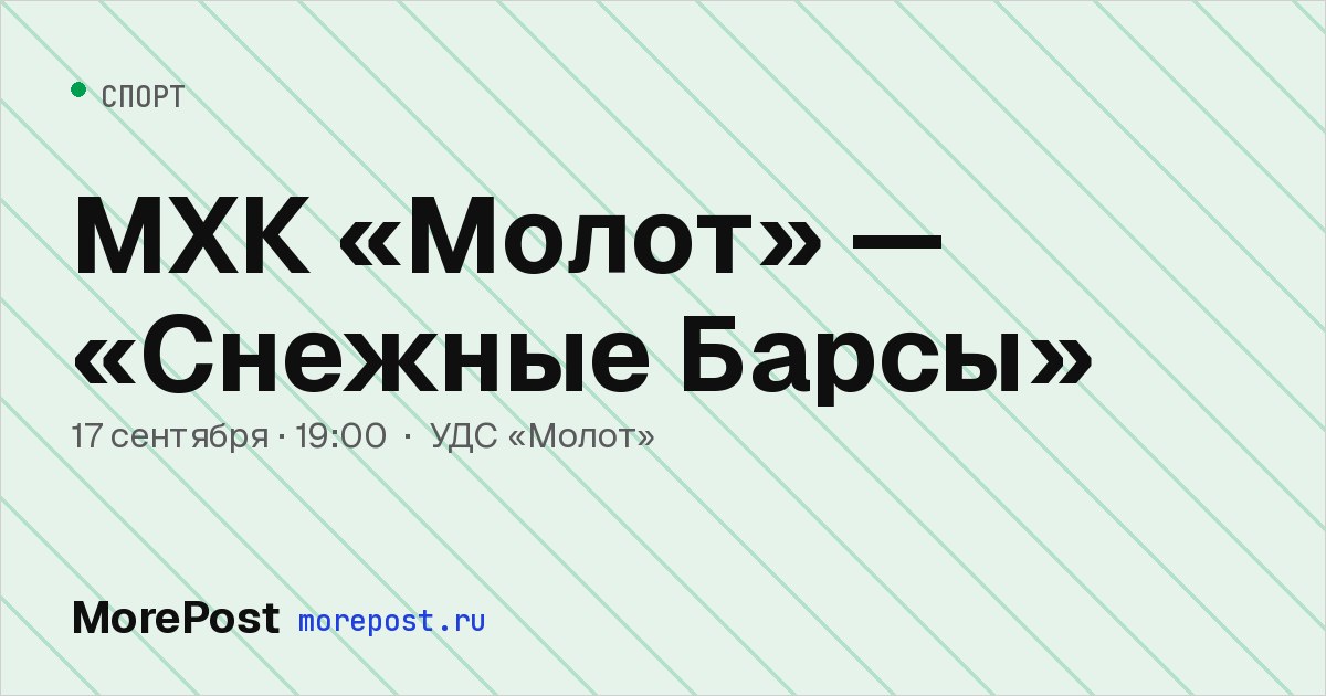 Афиша «МХК «Молот» — «Снежные Барсы»»